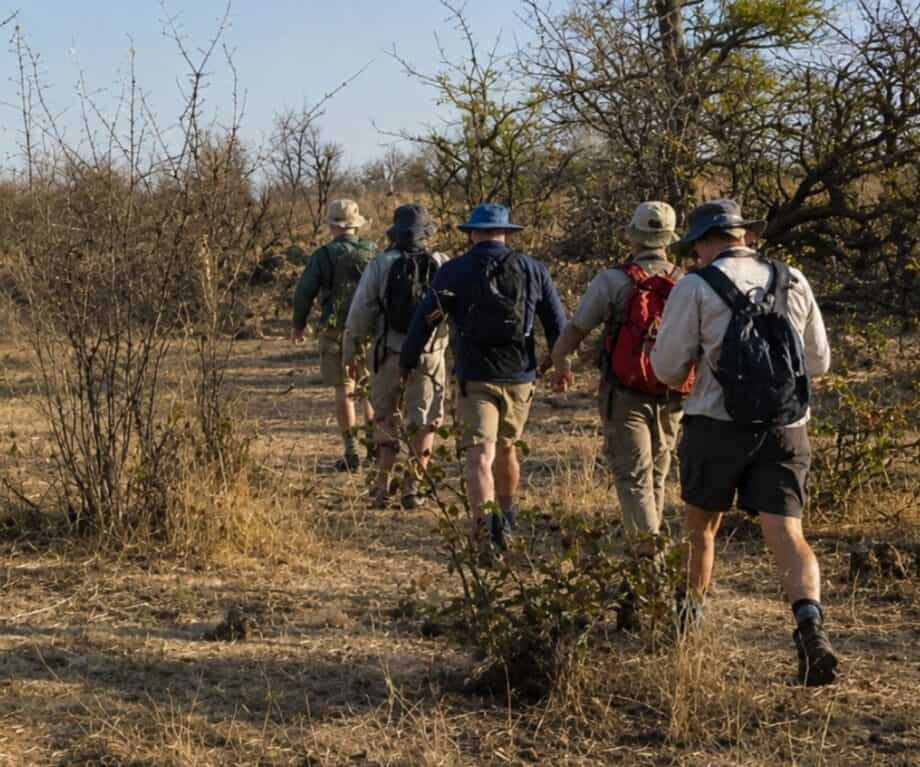 Understanding Zimbabwe